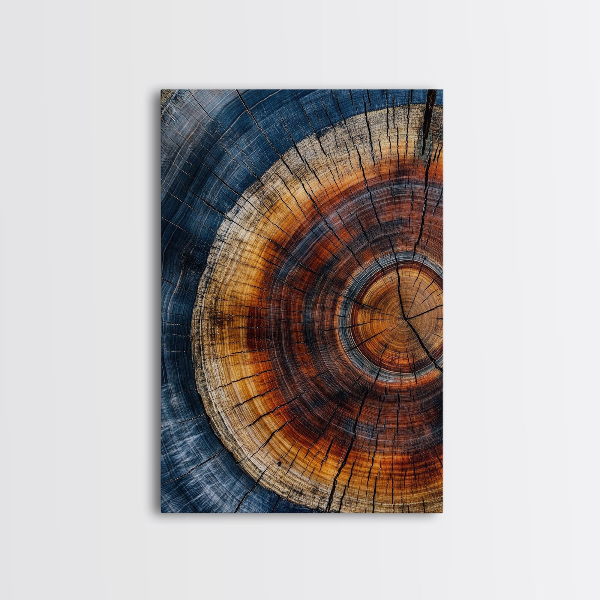 Modern Farmhouse Decor - Tree Rings - Framed Wall Art Canvas Print - Abstract Colorful Tree Ring Wall Decor - Minimalist Modern Farmhouse Boho