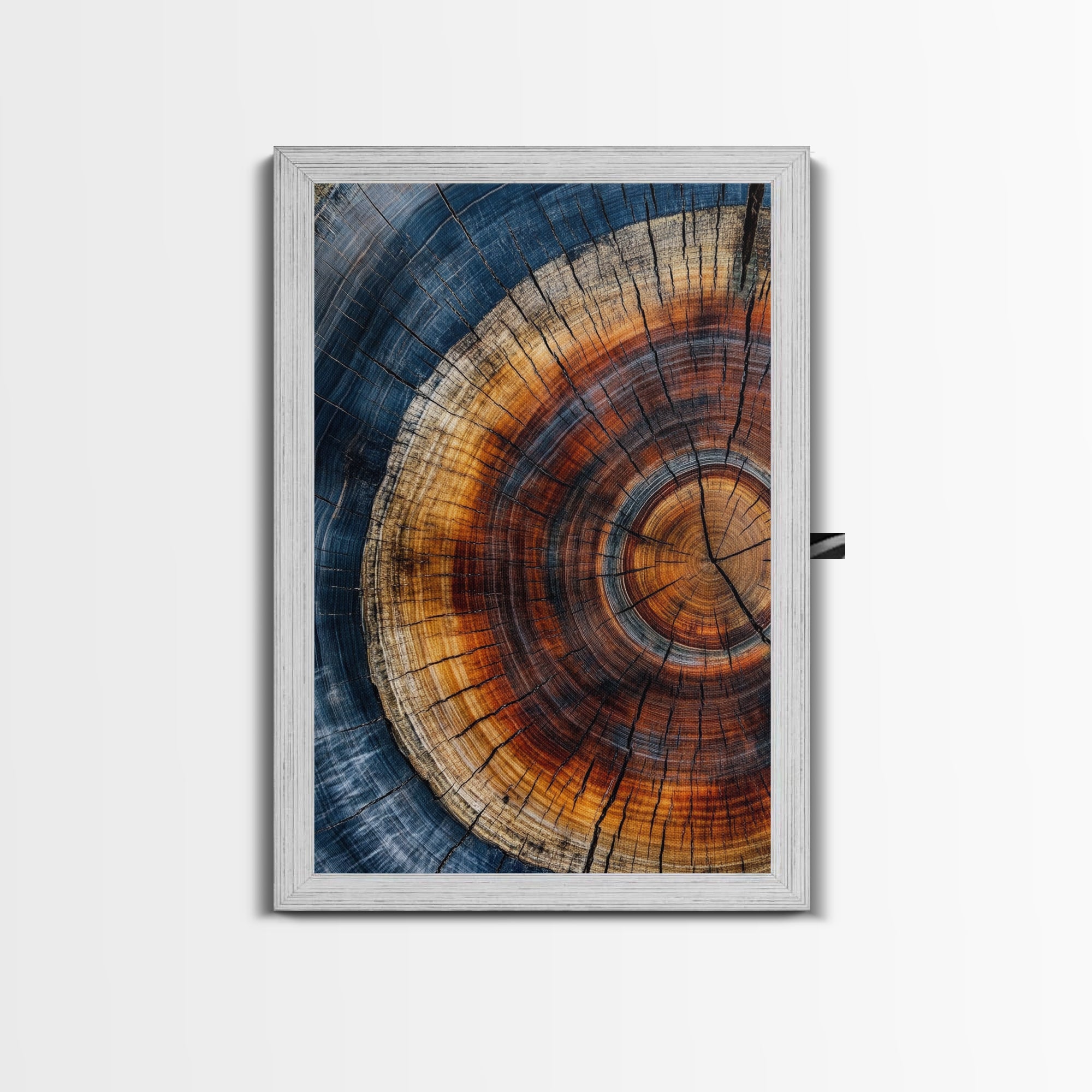 Modern Farmhouse Decor - Tree Rings - Framed Wall Art Canvas Print - Abstract Colorful Tree Ring Wall Decor - Minimalist Modern Farmhouse Boho